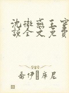 沈微燕王穿越小说全文免费阅读