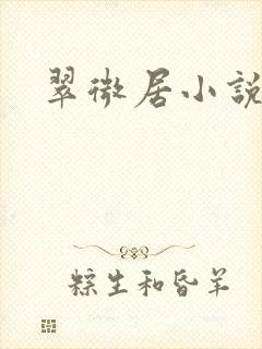 翠微居小说