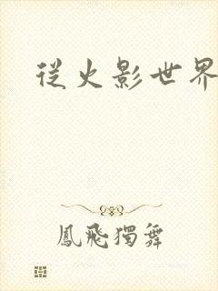 从火影世界归来