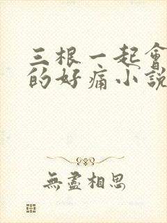 三根一起会坏掉的好痛小说