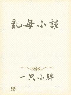 乱母小说