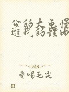 公的大龟慢慢挺进我的体内