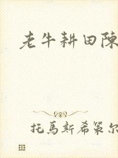 老牛耕田陈雪