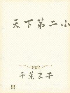 天下第二小说