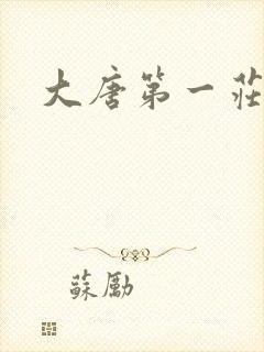 大唐第一庄