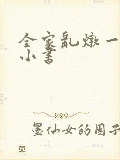 全家乱炖一锅烩小书
