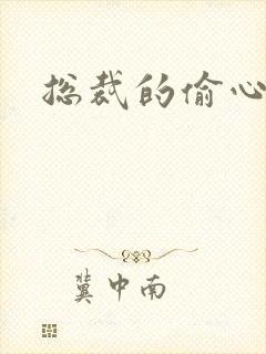 总裁的偷心娇妻