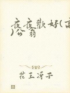 夜夜欢好(高h)公翁