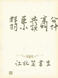 群臣共享公主银羽小说叫什么