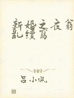 新婚之夜翁莹情乱续写