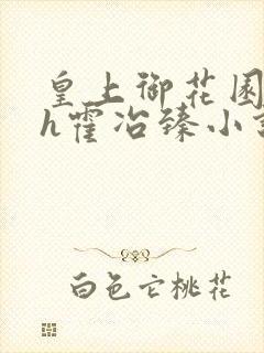 皇上御花园hlh霍冶臻小说