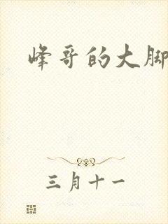 峰哥的大脚