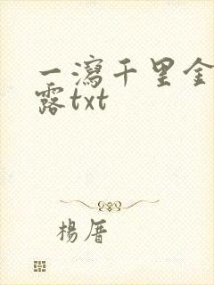 一泻千里金银花露txt