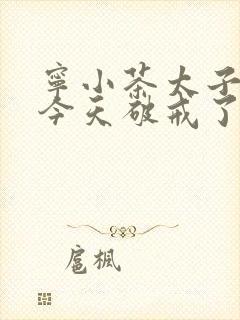 宁小茶太子殿下今天破戒了吗免费阅读