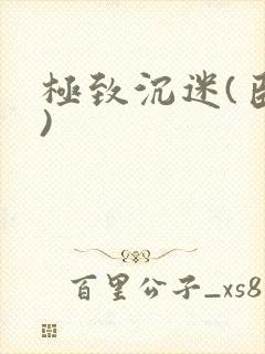 极致沉迷(臣年)