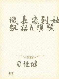 机长脔到她哭h粗话h视频