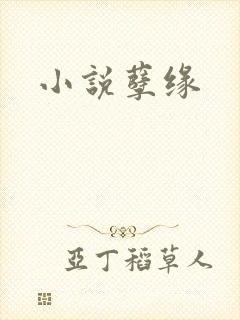 小说孽缘