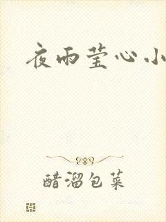 夜雨莹心小说
