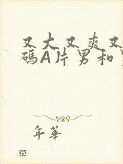 又大又爽又黄无码A片男和男