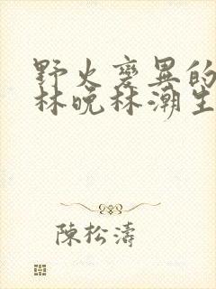 野火变异的父爱林晚林潮生