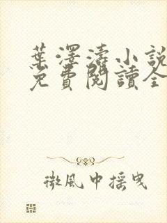 叶泽涛小说全文免费阅读全文