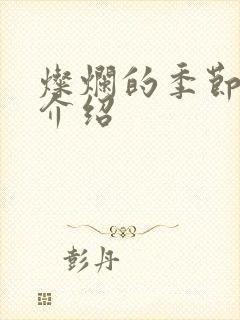 灿烂的季节剧情介绍