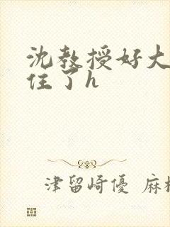 沈教授好大含不住了h