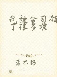 我被公司领导C了很多次