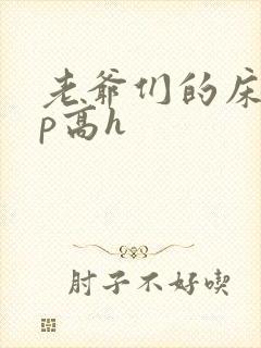 老爷们的床奴np高h