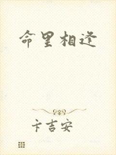命里相逢