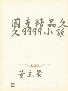 国产精品久久久久9999小说