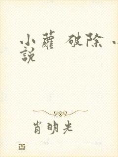 小萝 破除 小说
