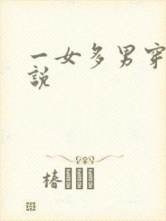 一女多男穿越小说