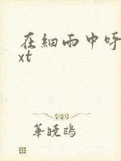 在细雨中呼喊txt