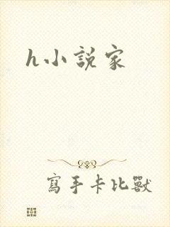 h小说家