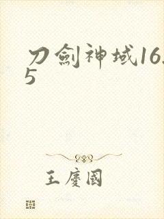 刀剑神域16.5