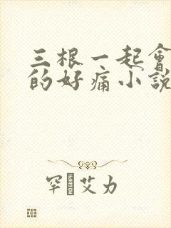三根一起会坏掉的好痛小说