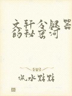 文轩分腿器河马的秘密河