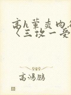 高h荤爽肉欲文〈三攻一受
