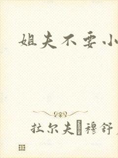 姐夫不要小说