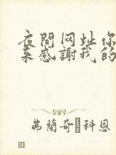 夜间网址你会回来感谢我的