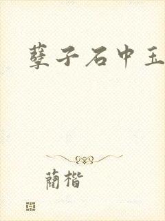 孽子石中玉