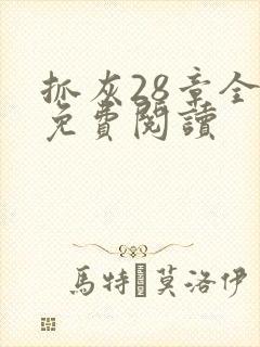 抓灰28章全部免费阅读