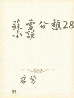 苏雪公憩28篇小说