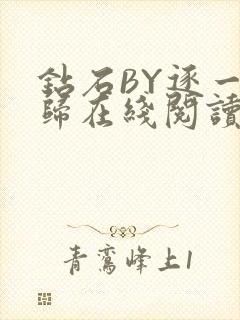 钻石BY逐一而归在线阅读