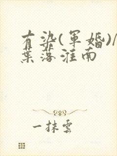 有染(军婚)/叶落淮南
