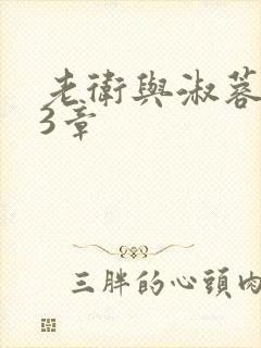 老卫与淑蓉第13章