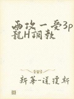 两攻一受3p双龙H调教