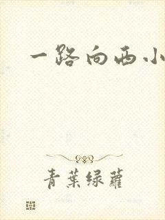 一路向西小说