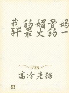 我的媚骨妈妈林轩最火的一句